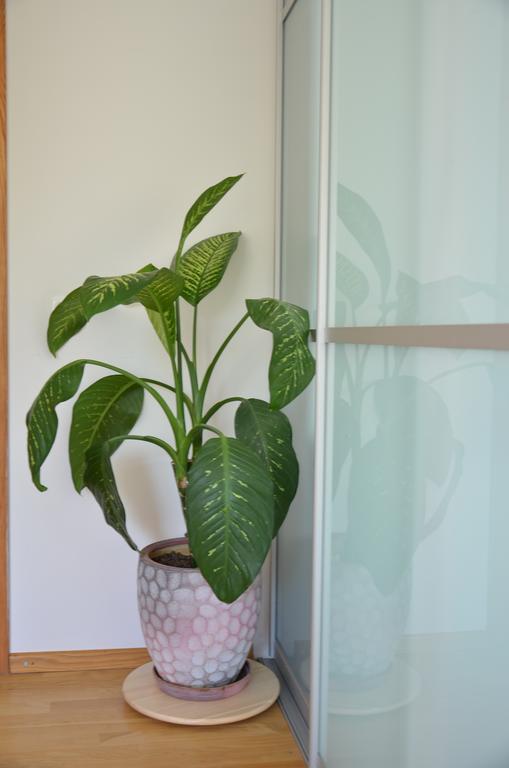 Apartments With Outdoor Spa Jacuzzi And Sauna 维尔纽斯 外观 照片